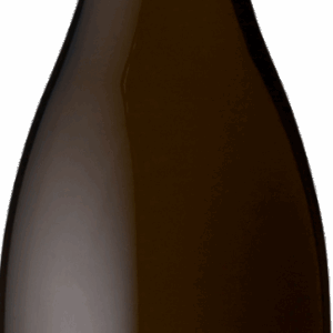 J&M Seleque "Perpetuel N23" - Coteaux Champenois Blanc 2023