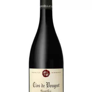 Domaine Michel Noellat - Clos Vougeot 2021