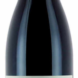 Domaine Georges & Pierre Glantenay Les Rugiens-Hauts - Pommard 2020