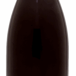 Domaine Prieure Roch Gevrey-Chambertin Premier Cru Vieilles Vignes 2020