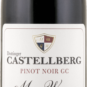 Weingut Martin Wassmer Dottinger Castellberg GC Pinot Noir 2020