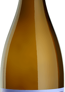Domaine Sylvain Pataille - Bourgogne Aligoté "Champ Forey" 2018