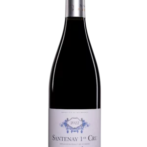 Jean-Marc Vincent Les Gravieres Rouge - Santenay 2020