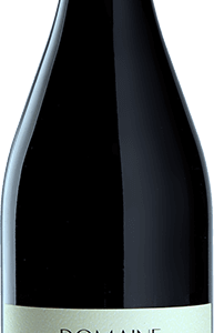 Domaine des Closiers "Trezellieres" - Saumur Champigny 2019 MAGNUM