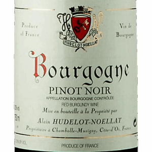 Domaine Hudelot Noellat - Bourgogne Rouge 2022