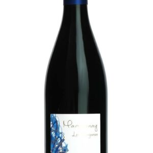 Domaine Laurent Pataille - Marsannay "Longeroies" 2021