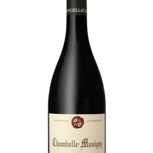 Domaine Michel Noellat - Chambolle Musigny 2020