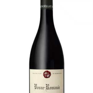 Domaine Michel Noellat - Vosne Romanée 2022