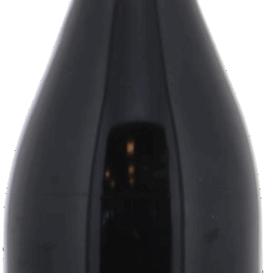 Domaine Bizot Vosne Romanée 2009