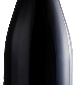 Jean-Marc Vincent Santenay "Vieilles Vignes" 23