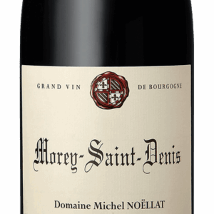 Domaine Michel Noellat - Morey Saint Denis 2021