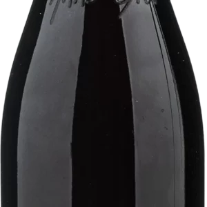 Domaine Anne Gros - Coteaux Bourguignons Rouge "Vieilles vignes" 2023